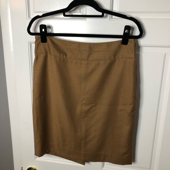 The Limited Skirt - Picture 1 of 4